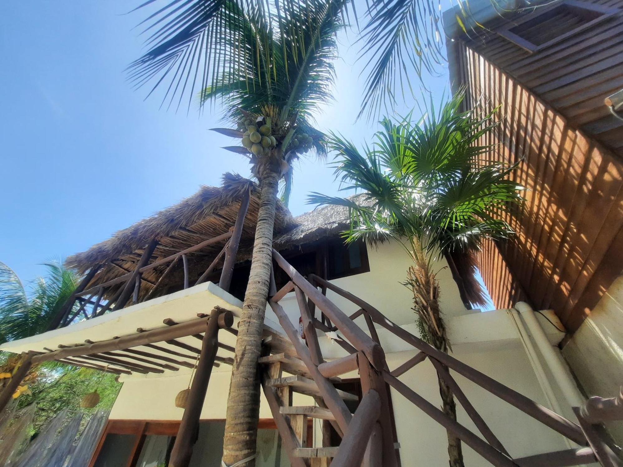 Апарт готель Casa Sofia Holbox Екстер'єр фото